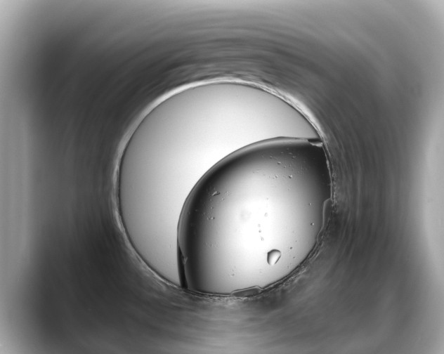X0000088731532200705311106