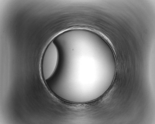 X0000088731533200705311106