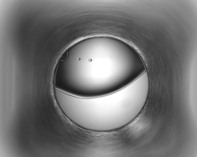 X0000088731534200705311106