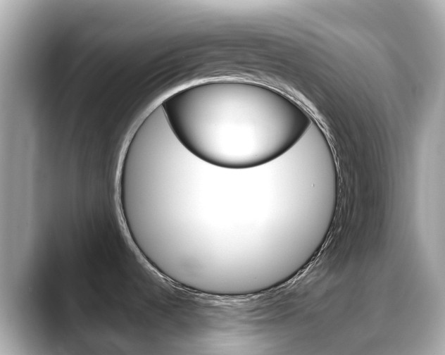 X0000088731536200705311106