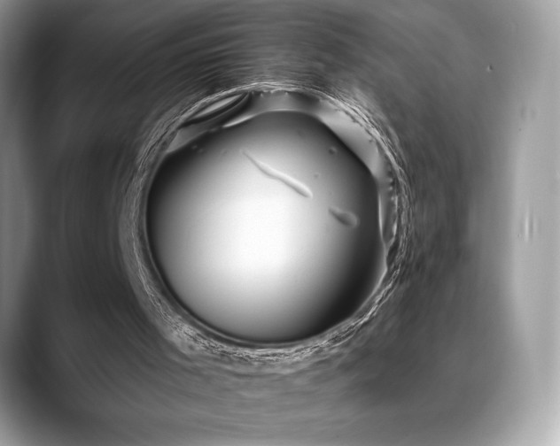 X0000088730001200705311437