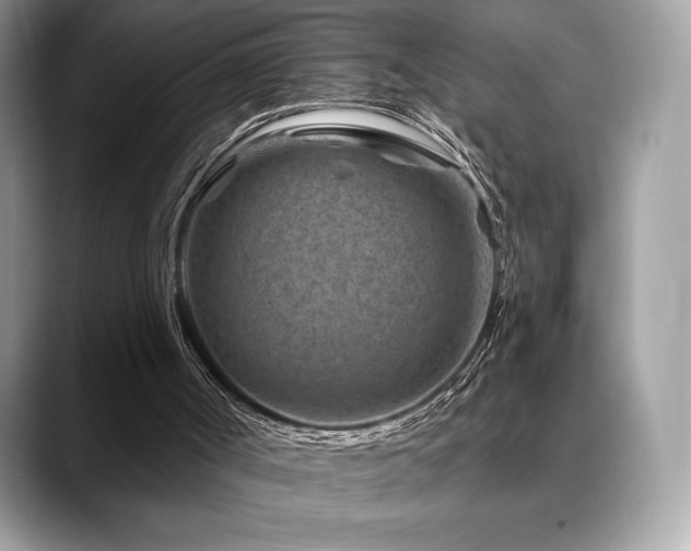 X0000088730002200705311437