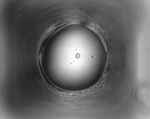 X0000088730003200705311437