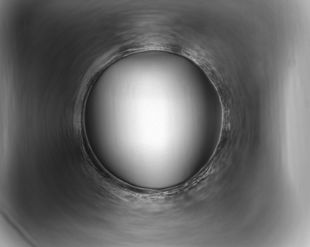 X0000088730004200705311437
