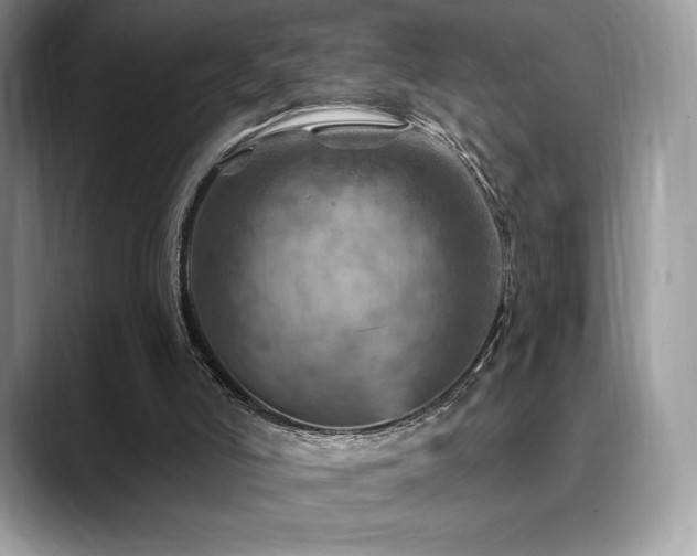 X0000088730006200705311437