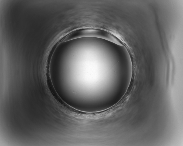 X0000088730007200705311437