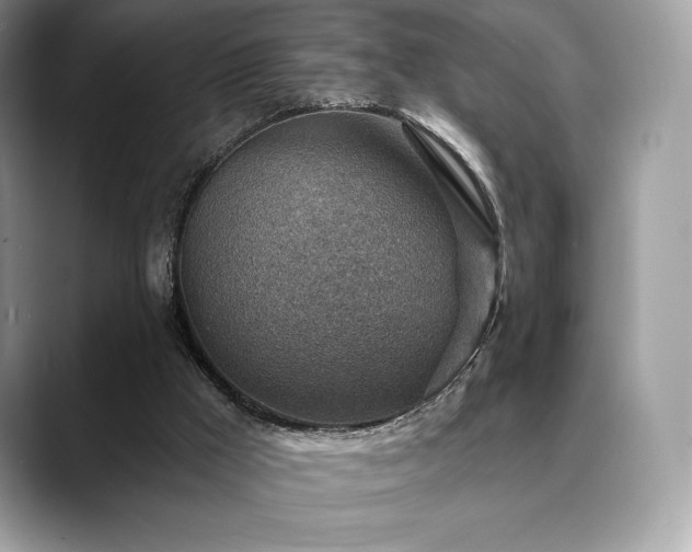 X0000088730009200705311437