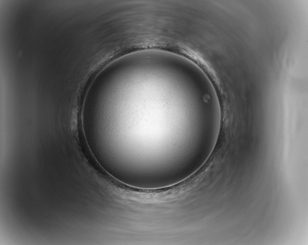 X0000088730010200705311437