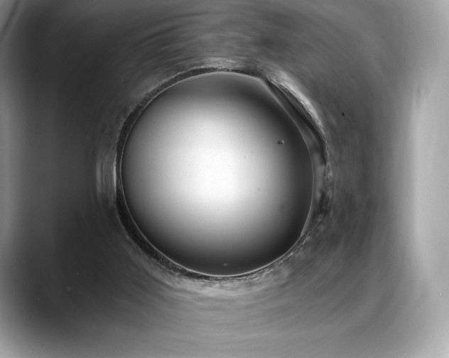 X0000088730011200705311437