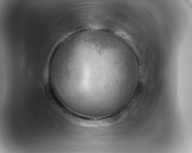 X0000088730012200705311437