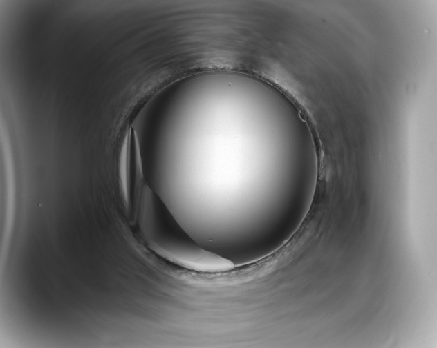 X0000088730013200705311437