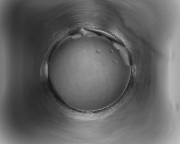 X0000088730014200705311437