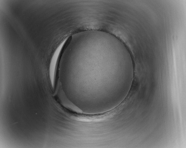 X0000088730017200705311437