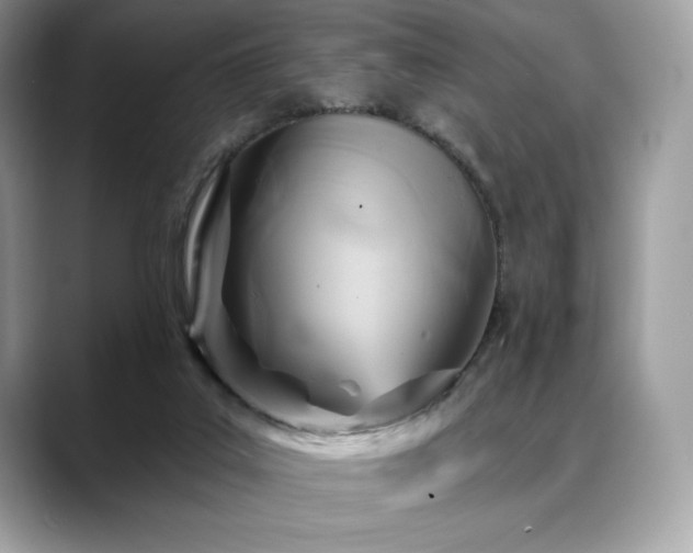 X0000088730019200705311437