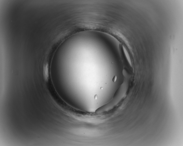 X0000088730020200705311437