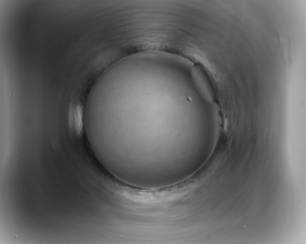 X0000088730022200705311437