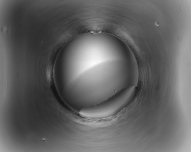 X0000088730023200705311437