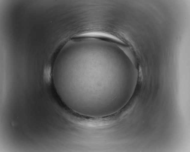 X0000088730024200705311437