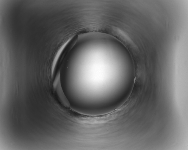 X0000088730025200705311437