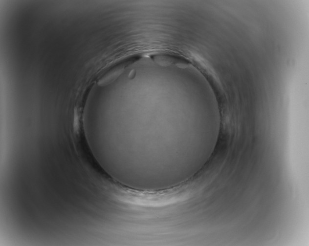 X0000088730026200705311437
