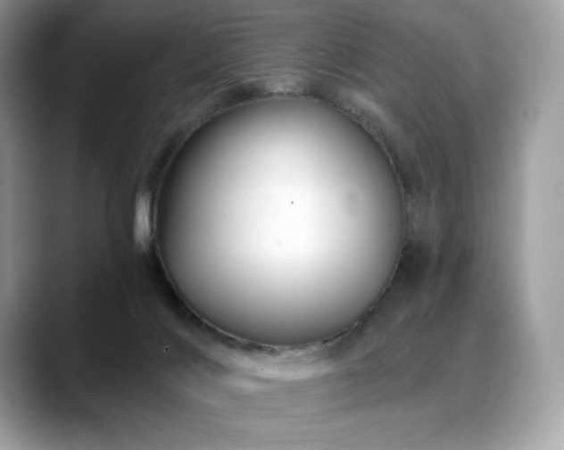 X0000088730028200705311437
