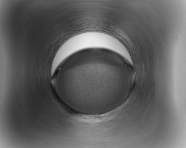 X0000088730029200705311437