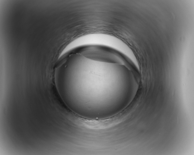 X0000088730030200705311437