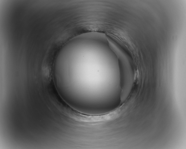 X0000088730031200705311437