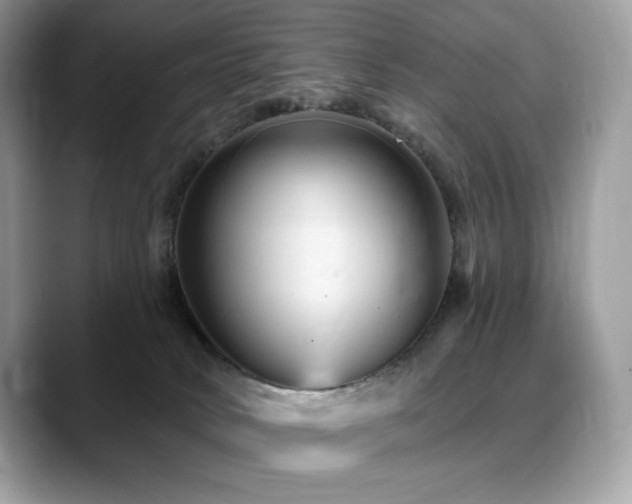 X0000088730034200705311437