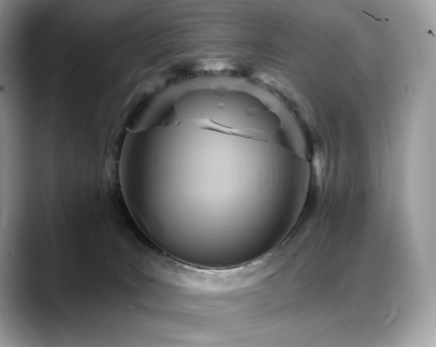 X0000088730035200705311437