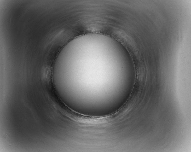 X0000088730036200705311437