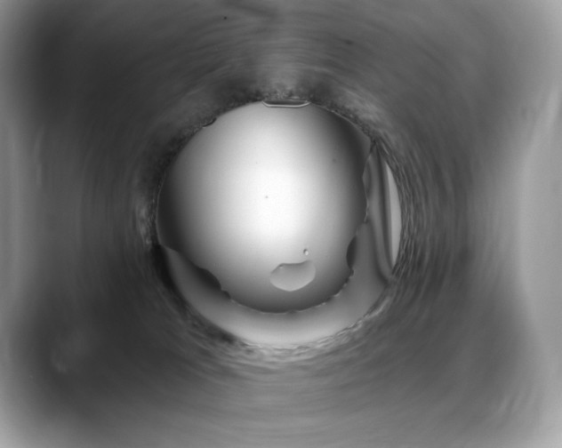 X0000088730037200705311437