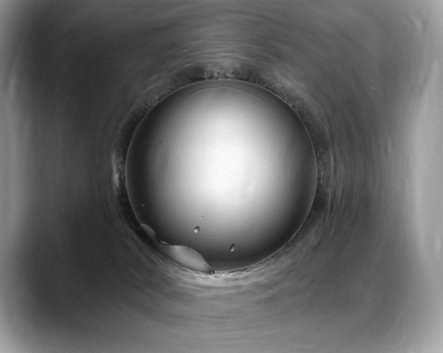 X0000088730038200705311437