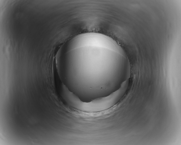 X0000088730039200705311437