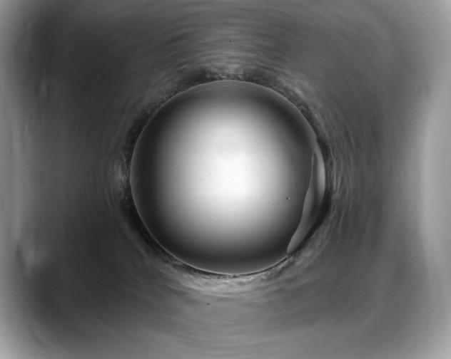X0000088730040200705311437