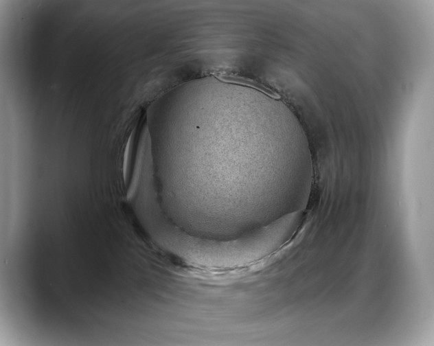 X0000088730041200705311437