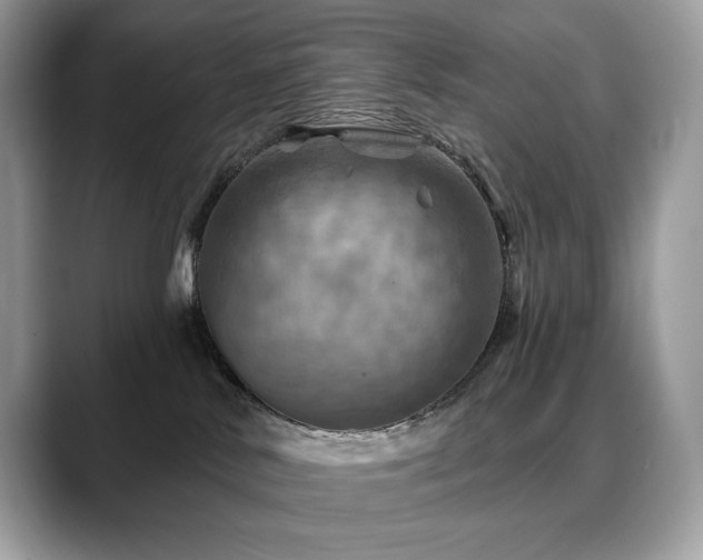 X0000088730042200705311437