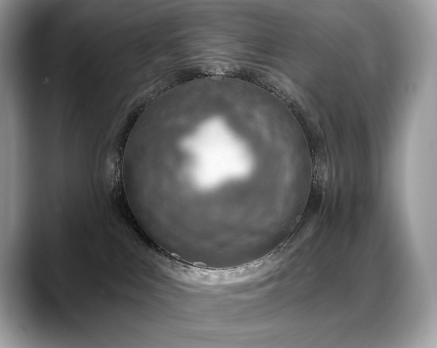 X0000088730043200705311437