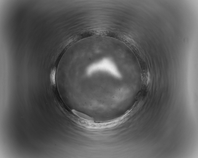 X0000088730047200705311437
