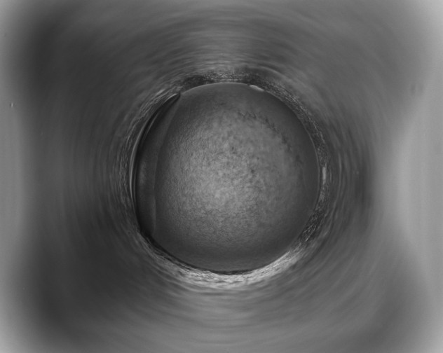 X0000088730048200705311437