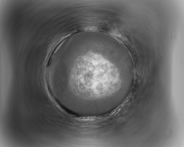 X0000088730049200705311436