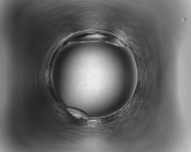X0000088730050200705311436