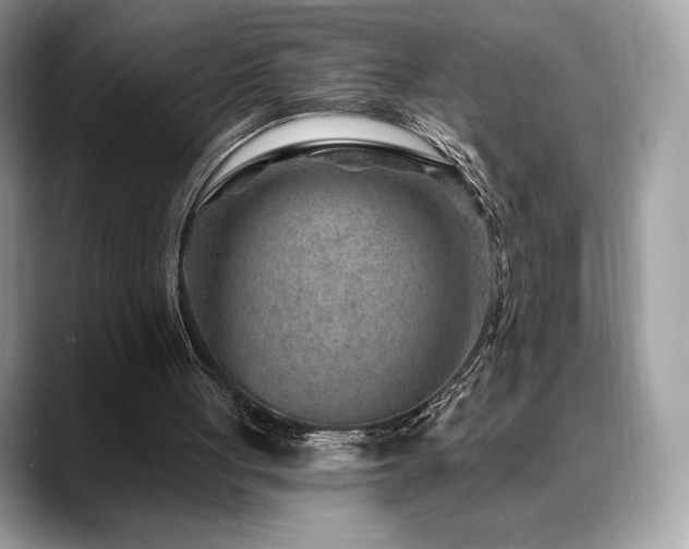 X0000088730051200705311436