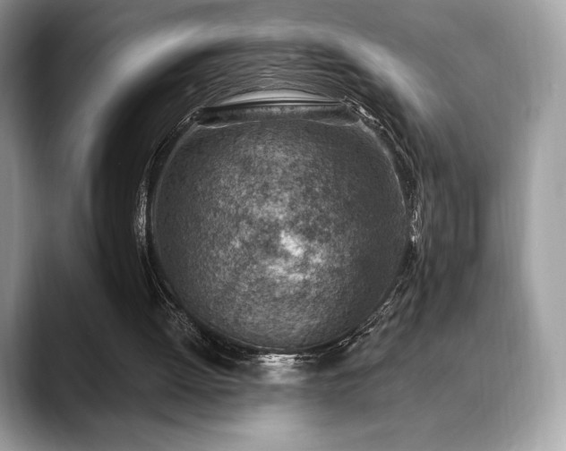X0000088730052200705311436