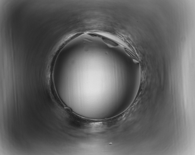 X0000088730054200705311436