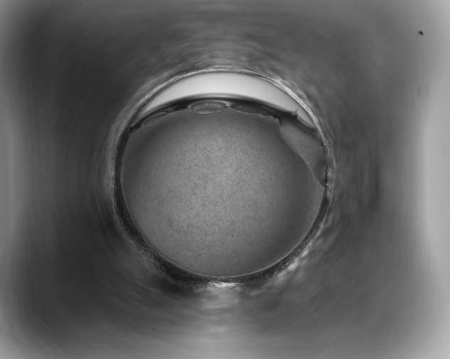 X0000088730055200705311436