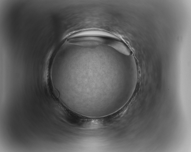X0000088730056200705311436