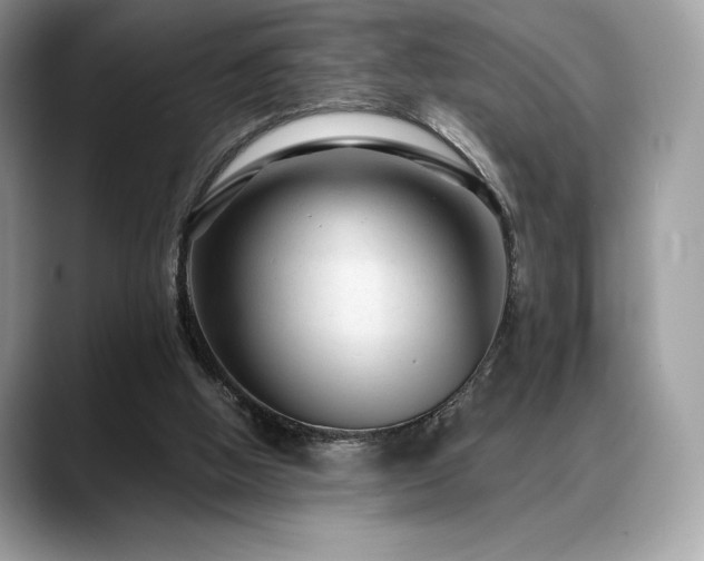 X0000088730058200705311436