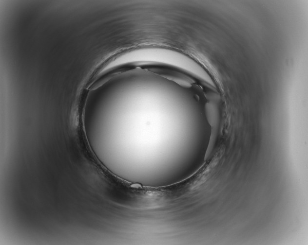 X0000088730060200705311436