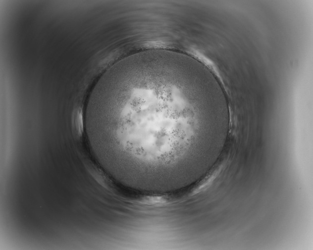 X0000088730061200705311436